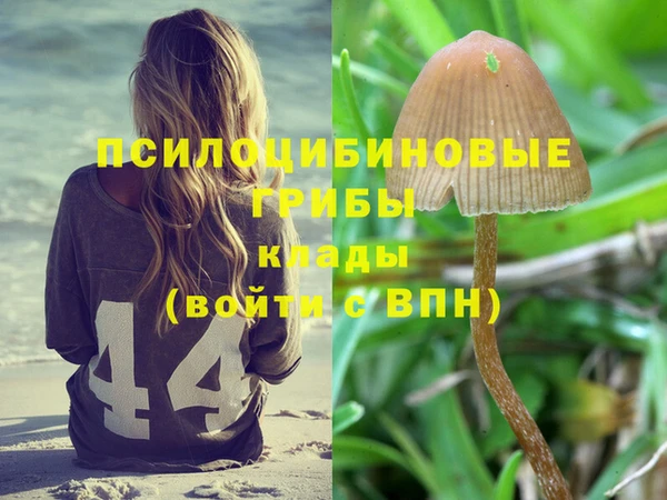 марки lsd Алзамай
