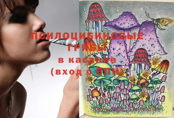 mdma Зеленодольск